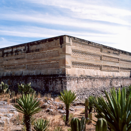 Mitla, 2023