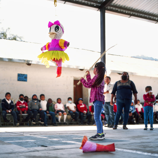 t+daa tutu (Paper Bird), 2023