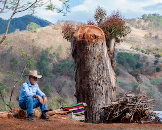 tee kui ka ch++ (Vaquero de las montañas/ Cattleman of the Mountains), 2024
