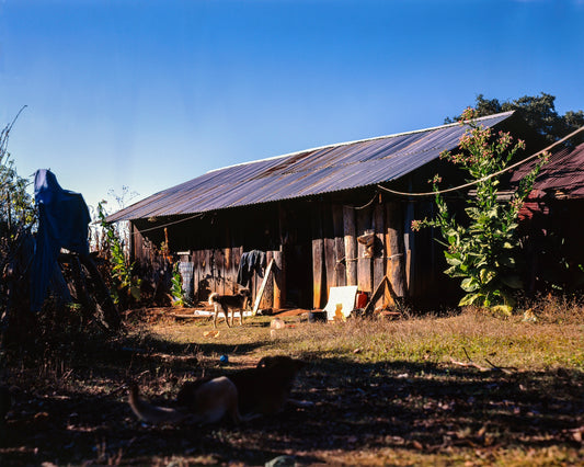 ve’e (hogar/home), 2023
